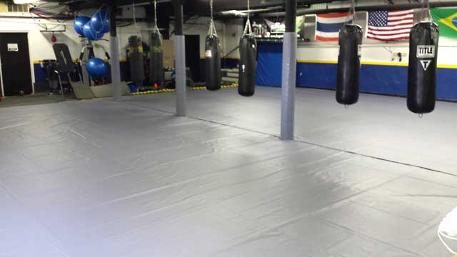 Mixed Martial Arts Mat cover